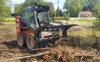 Brush Clearing Business - Free Estimate