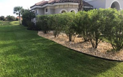 Lawn Mowing - Waterfront Landscapes